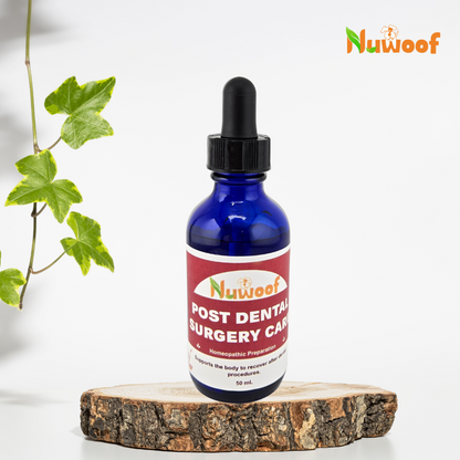 NuWoof Homeopathic Blend: Post Dental Surgery 50ml