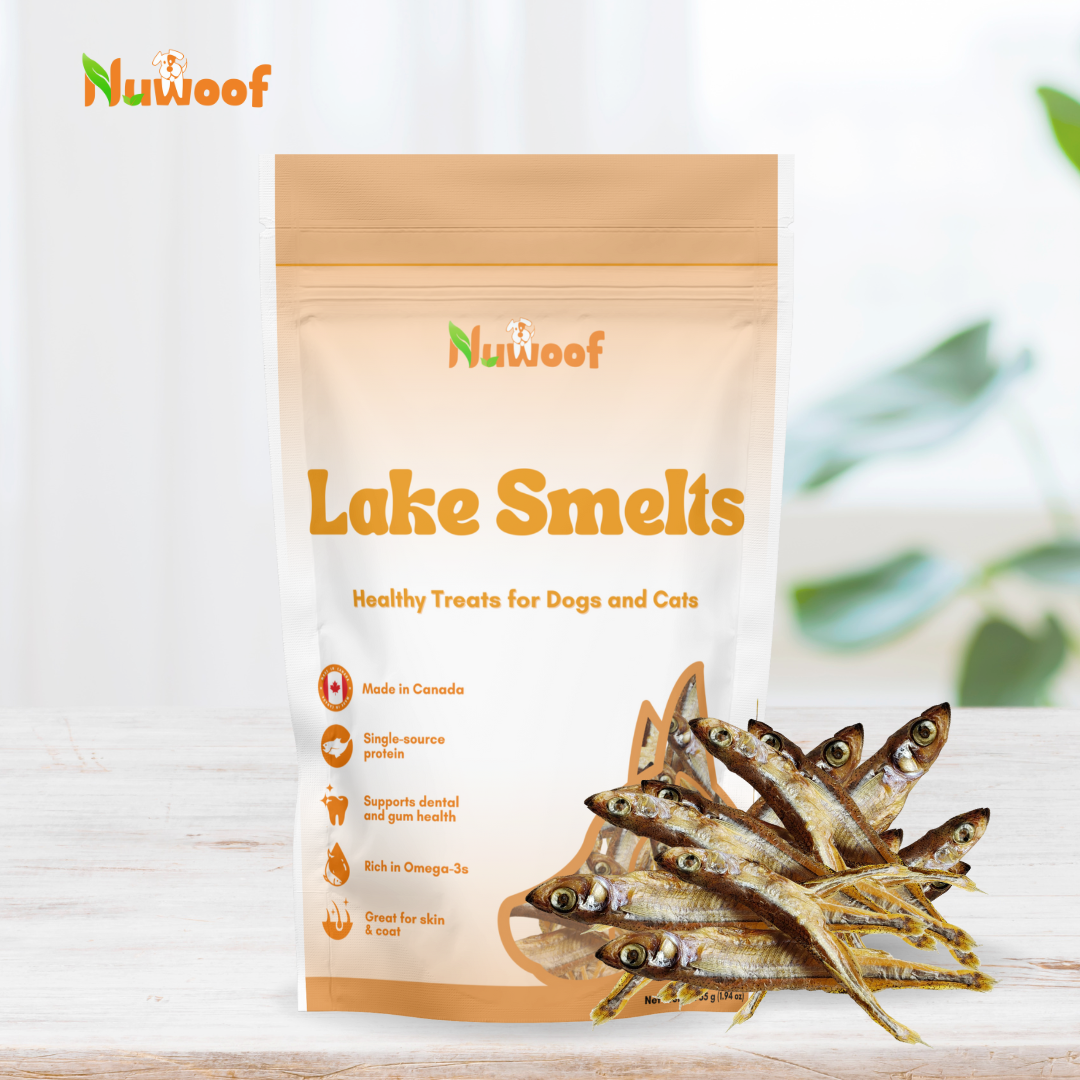 NuWoof - Dehydrated Lake Smelt Treats - 165g