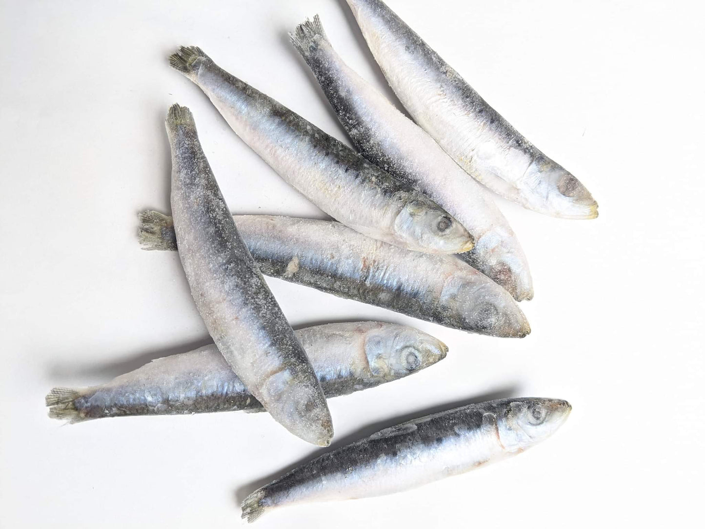 NuWoof - Frozen Sardines 1lb